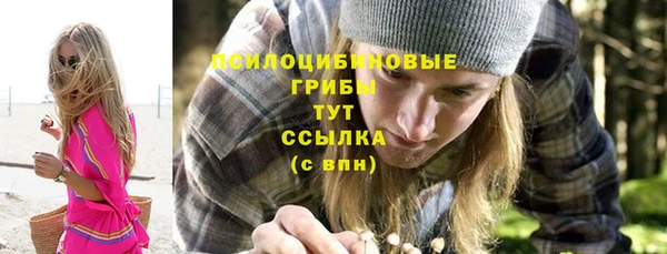 a pvp Сатка