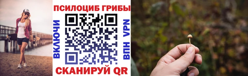 мега зеркало  Рудня  Галлюциногенные грибы Magic Shrooms 